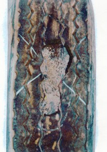 กรณีล่อนริมหน้ายาง103